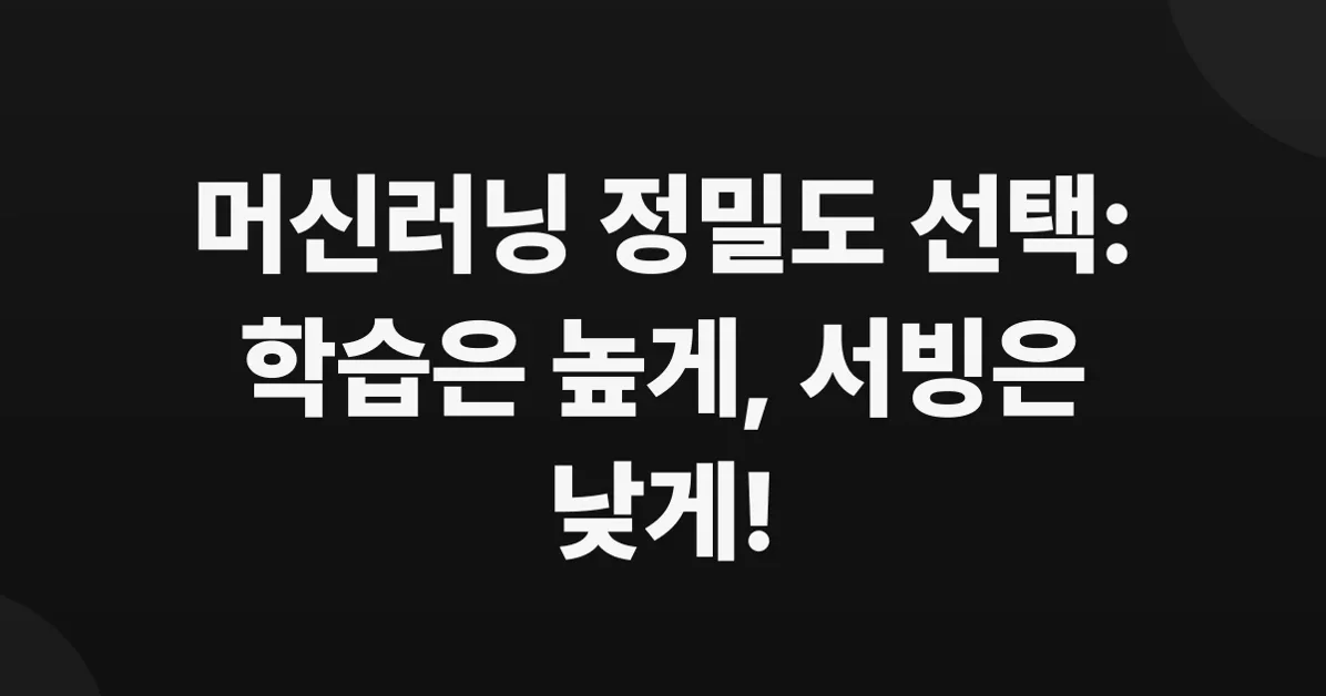 Train High, Infer Low - 머신러닝 학습과 서빙의 FP32, FP16, BF16, INT8 정밀도 선택