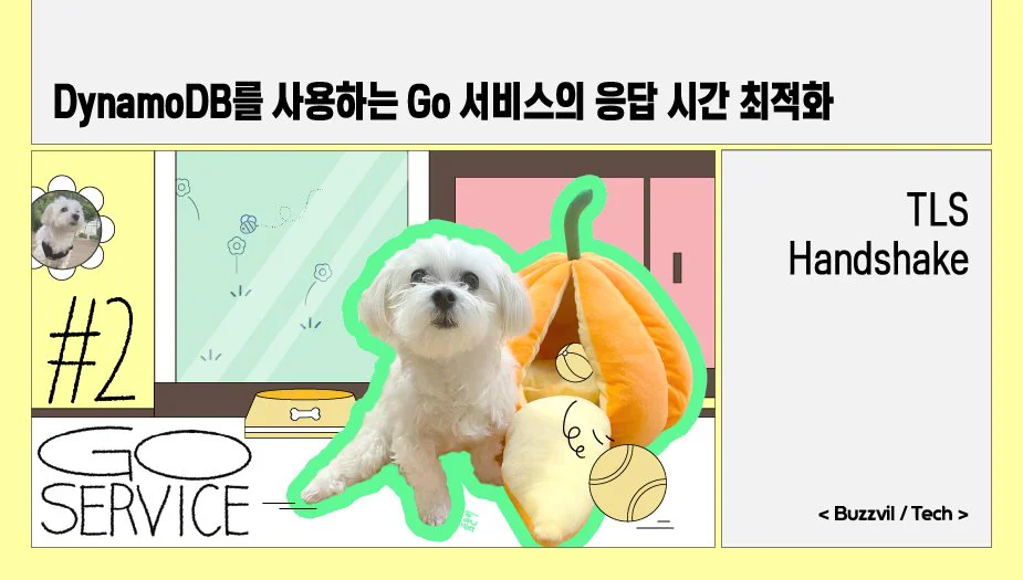 DynamoDB를 사용하는 Go 서비스의 응답 시간 최적화 #2 TLS Handshake