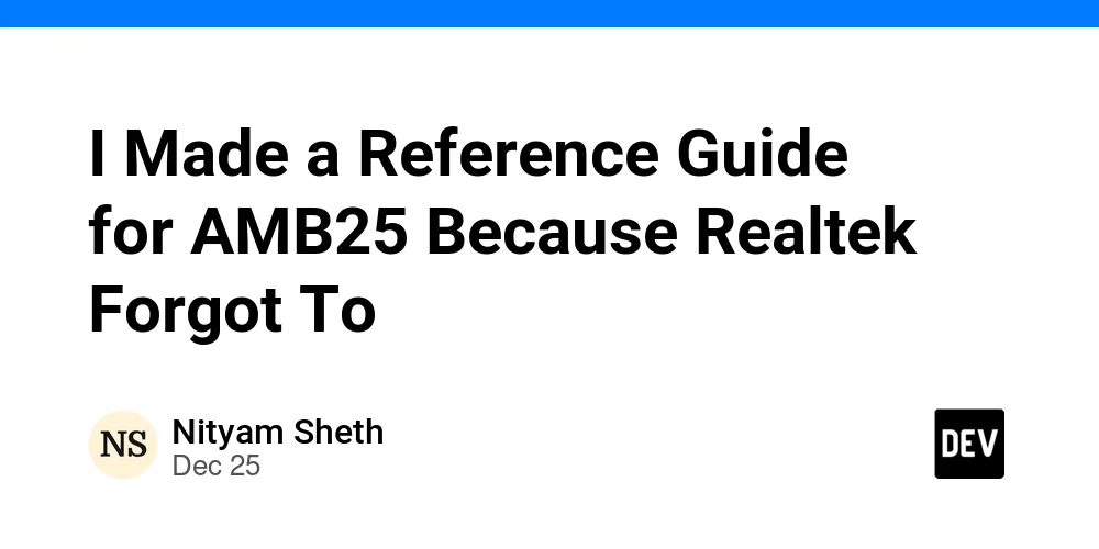 I Made a Reference Guide for AMB25 Because Realtek Forgot To 🤷‍♂️