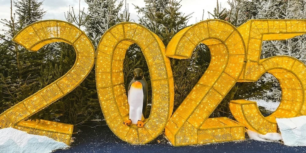 My 2025 Year in Review