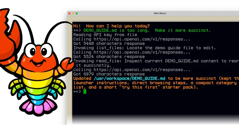 MiniClaw: A Tiny LLM Agent for Mini Micro