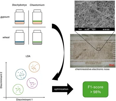 Electronic nose for indoor mold detection and identification