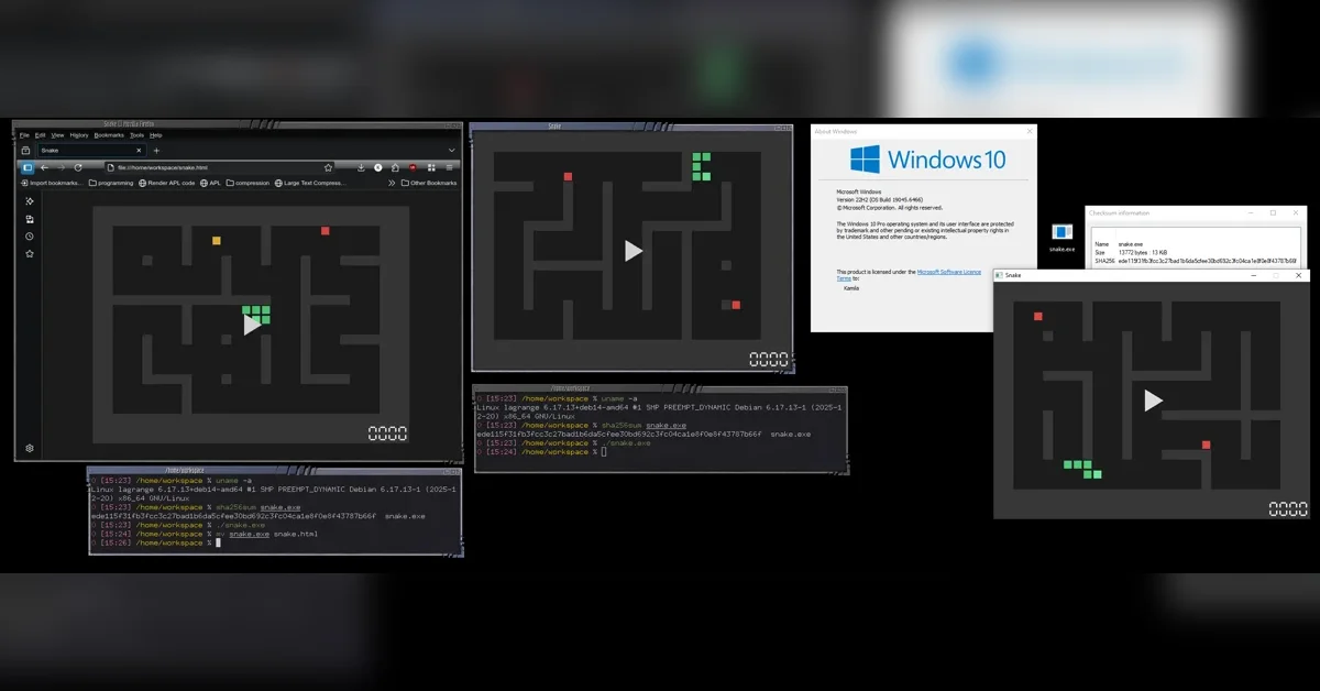 This game is a single 13 KiB file that runs on Windows, Linux and in the Browser