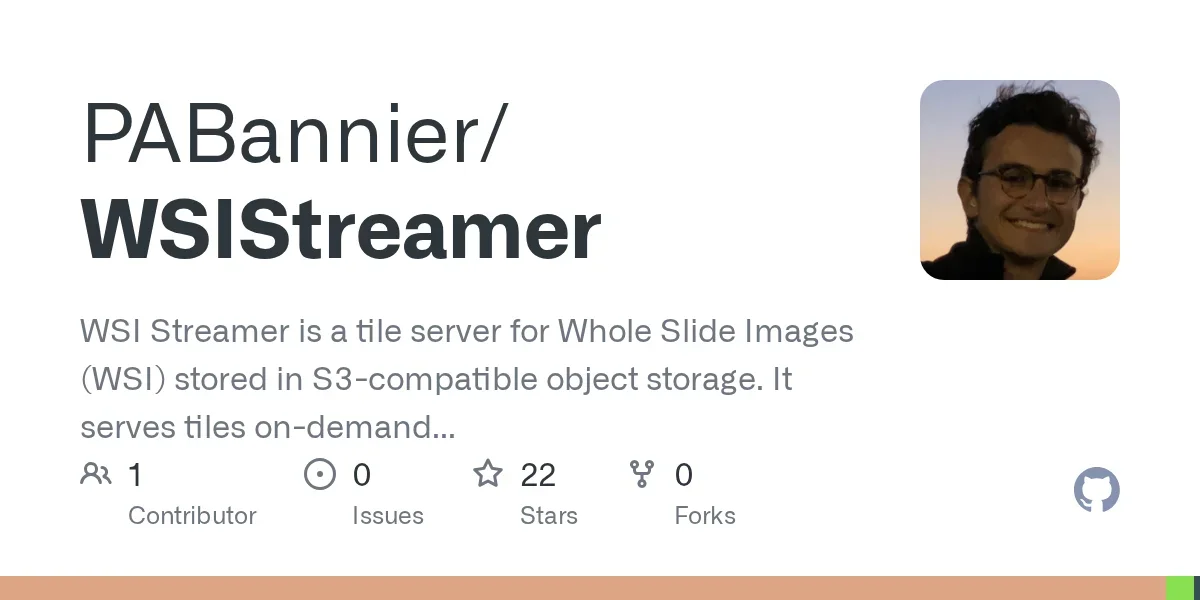 Show HN: Streaming gigabyte medical images from S3 without downloading them