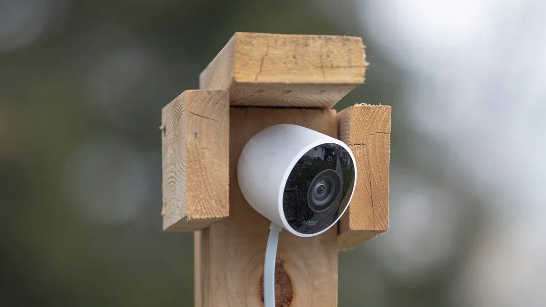 Amazon, Google Unwittingly Reveal the Severity of the U.S. Surveillance State