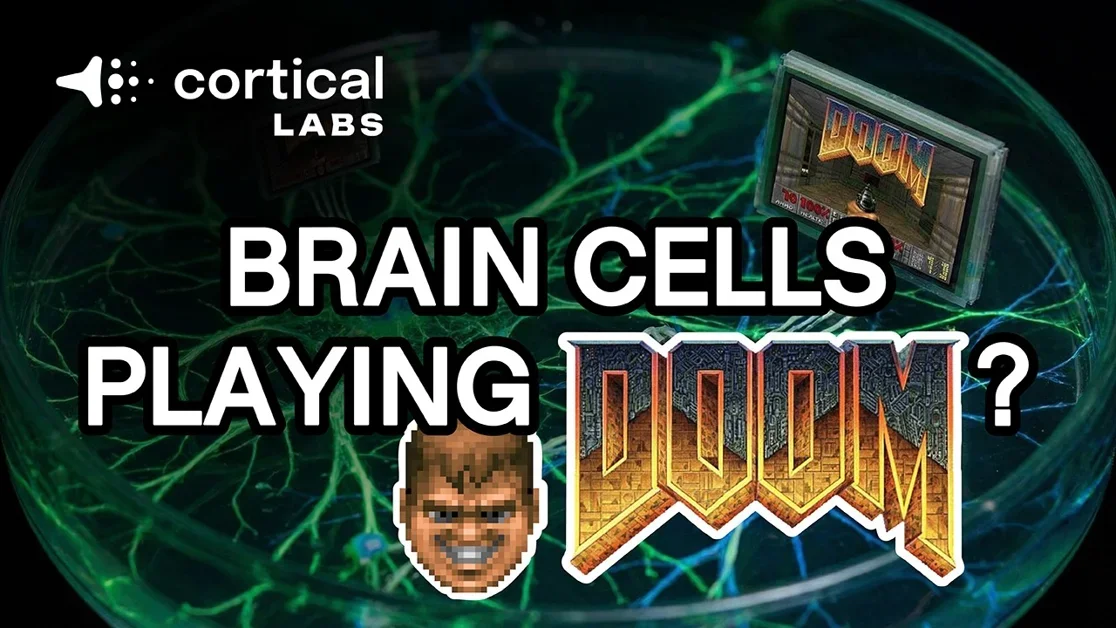 Living human brain cells play DOOM on a CL1 [video]
