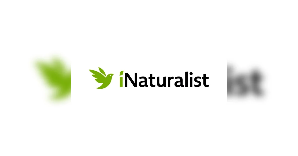 iNaturalist