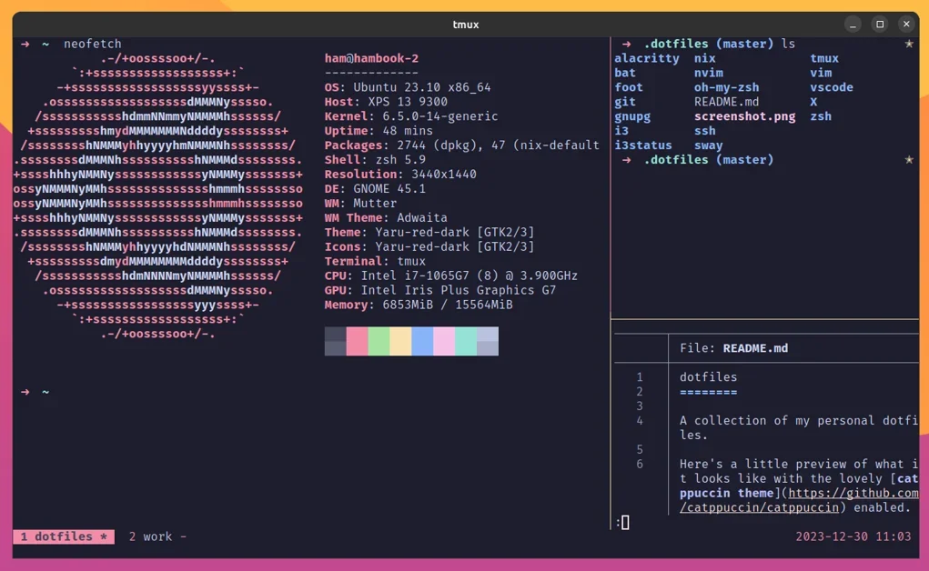 Make Tmux Pretty and Usable (2024)