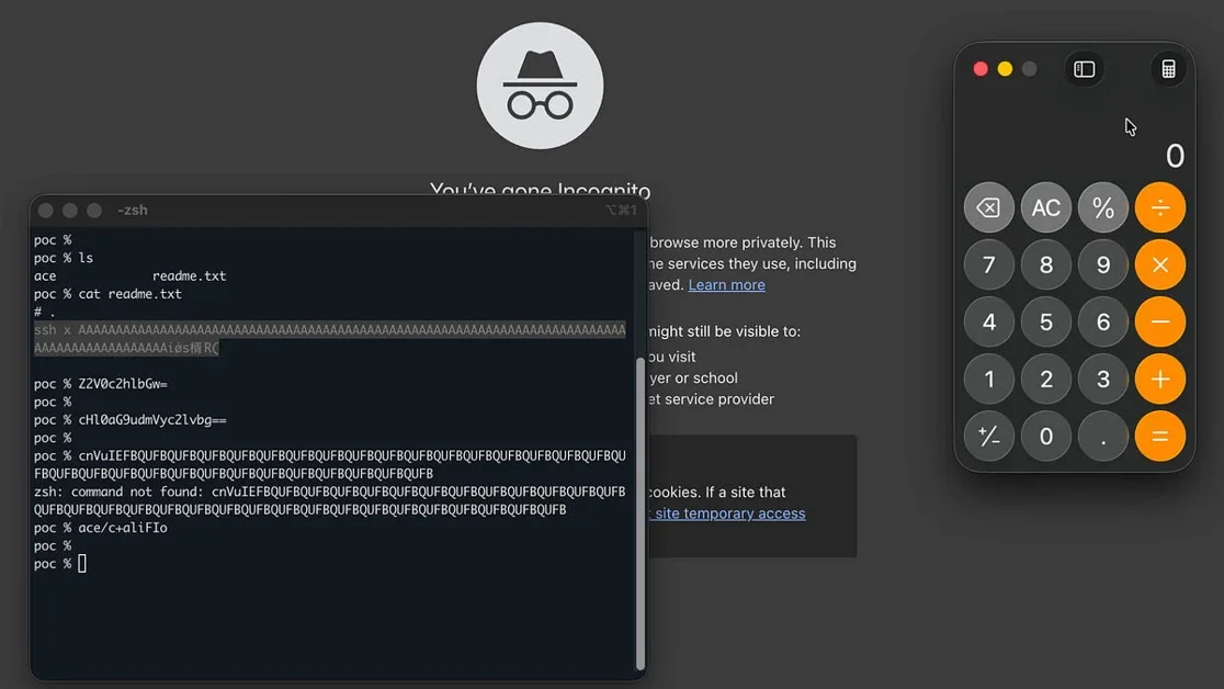 "cat readme.txt" is not safe if you use iTerm2