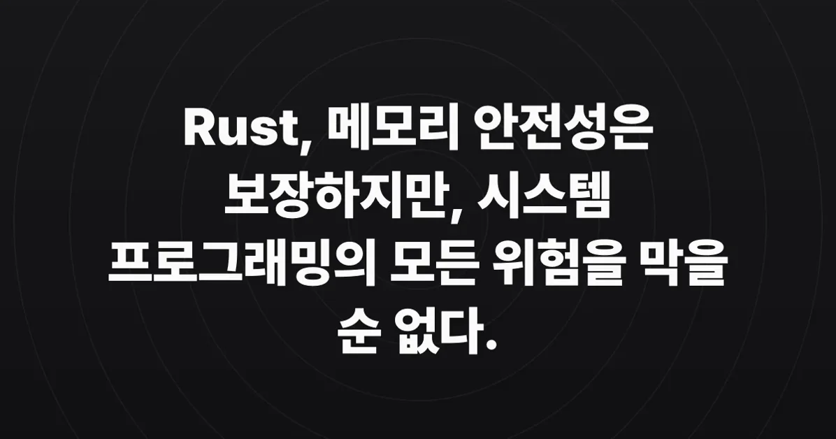 Bugs Rust won't catch