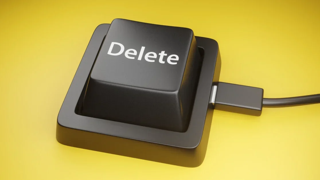 Twin brothers wipe 96 government databases minutes after being fired