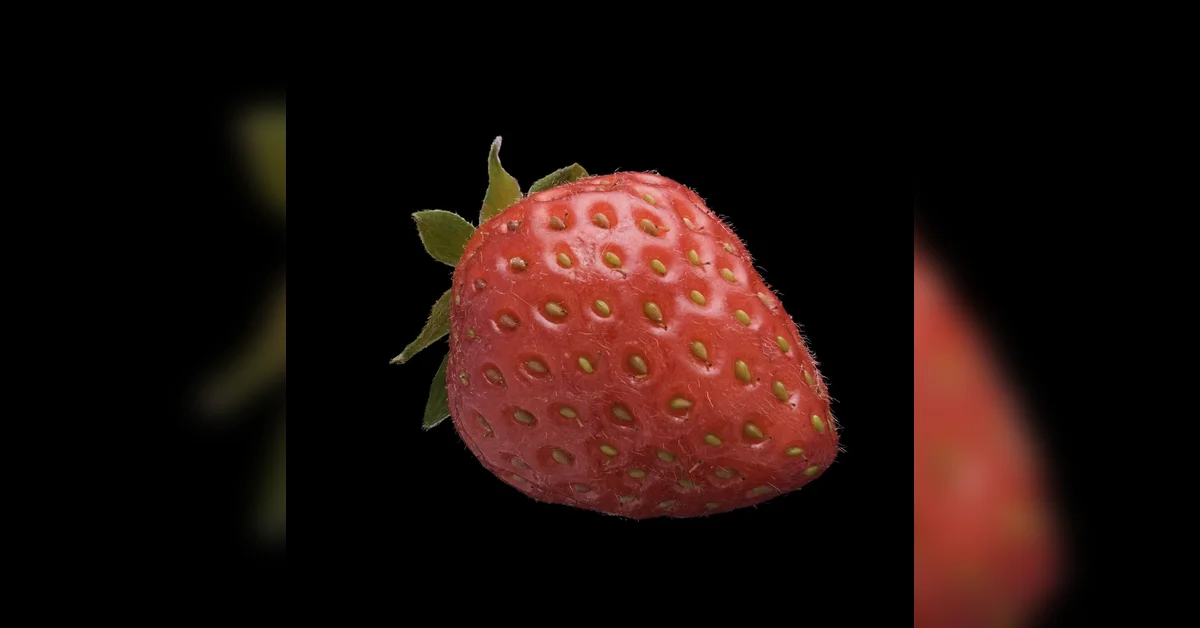Gaussian Splat of a Strawberry
