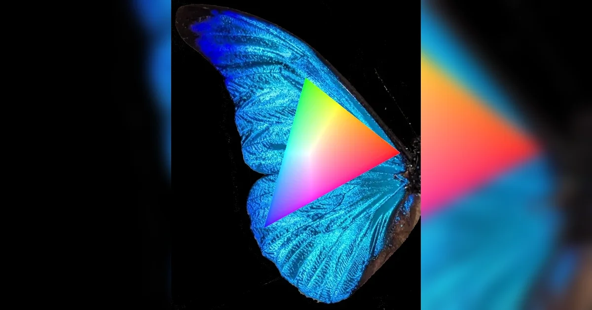 Where to Find the Colors Your Screen Can't Show You