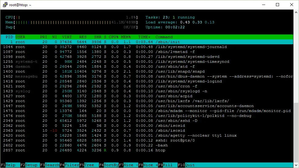 Explanation of everything you can see in htop/top on Linux (2019)
