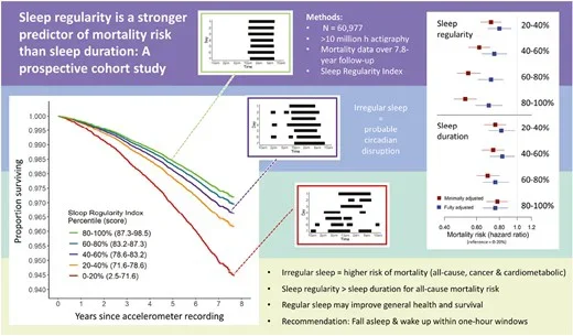 Sleep regularity is a stronger predictor of mortality risk than sleep duration