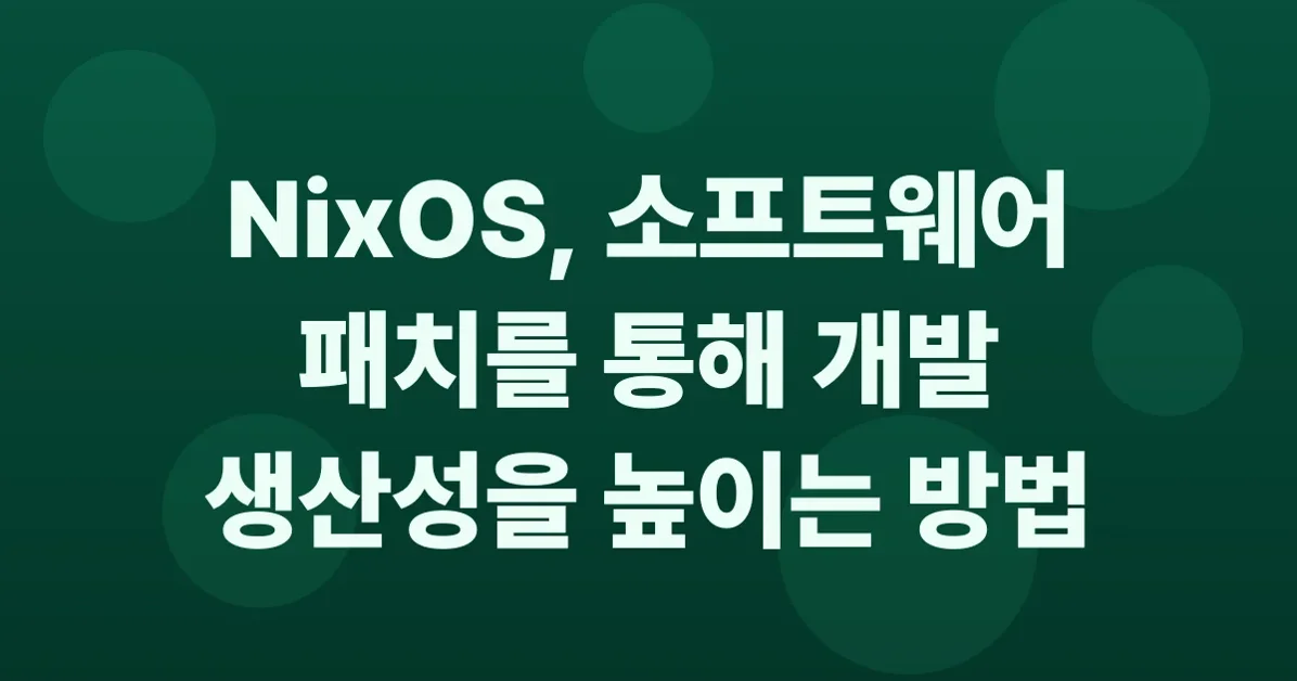 Software patches in NixOS for fun and productivity