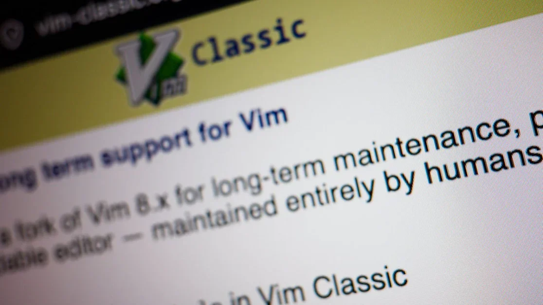 Interview: Drew DeVault on an AI-free version of Vim