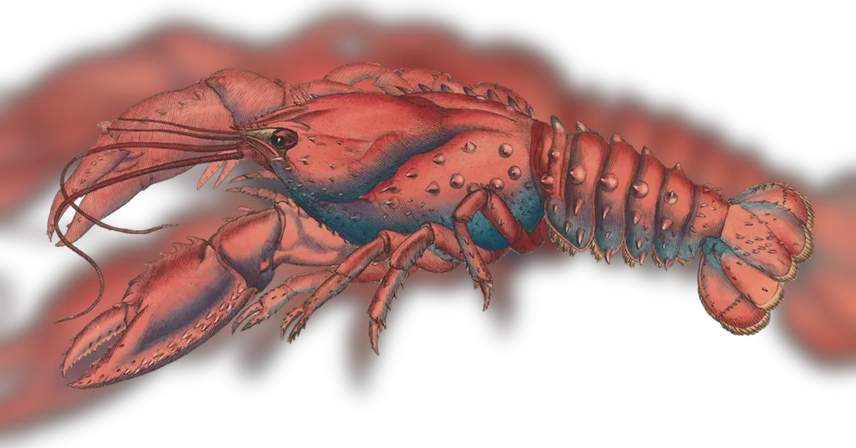 How the Lobsters front page works