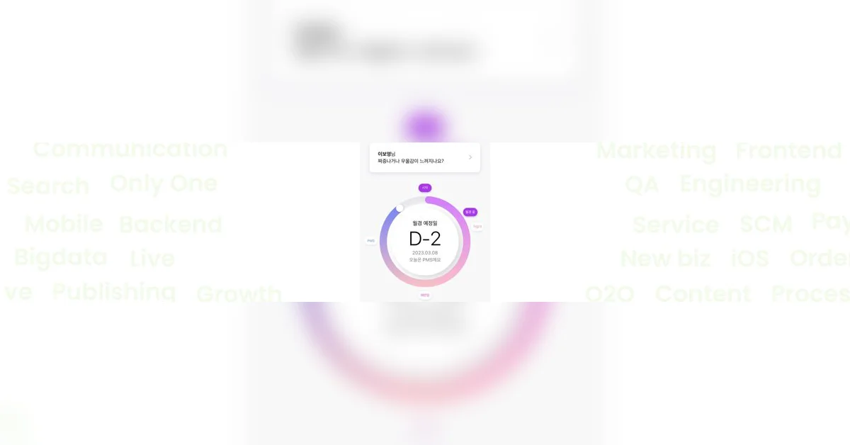 W CARE 서비스 프론트엔드를 TDD로 개발해본 후기