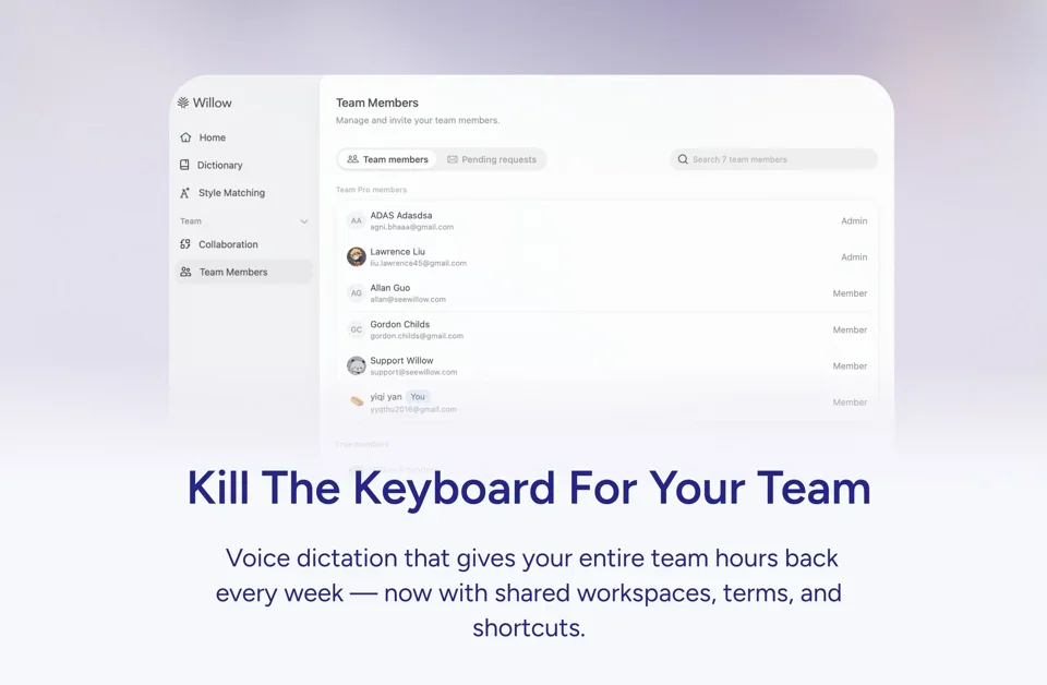 [Willow Voice for Teams] Kill the keyboard for your team with voice AI