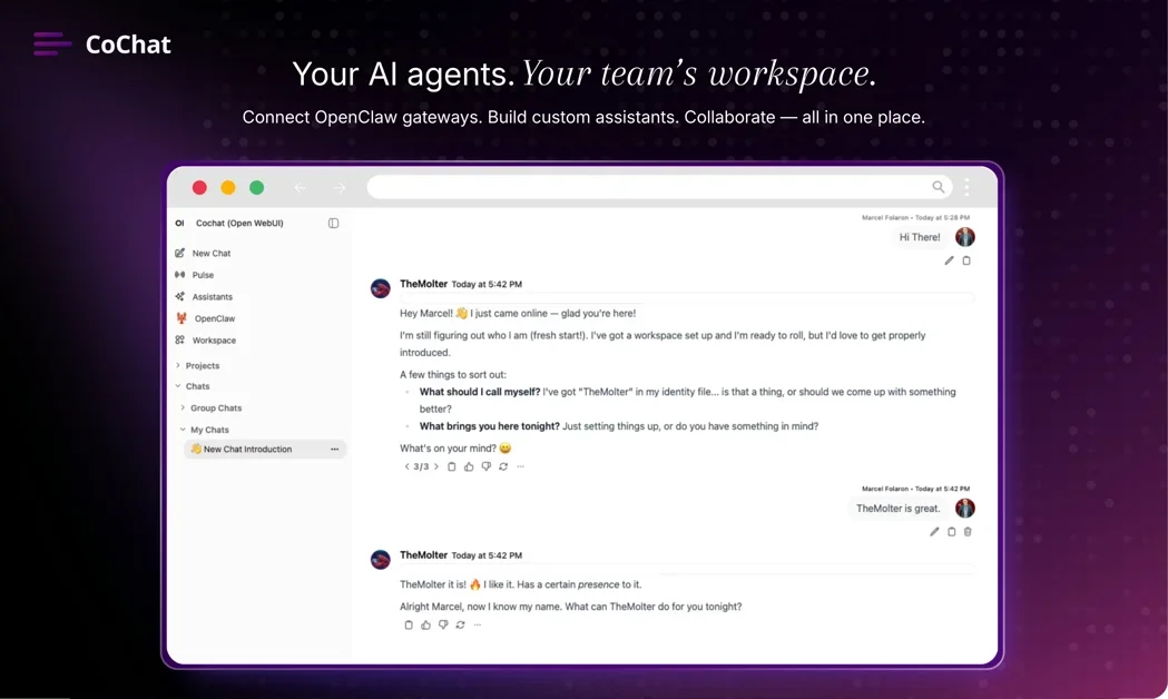 [CoChat] Openclaw for Teams that is secure, collaborative, autonomous