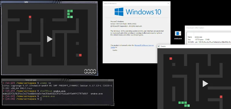 Windows? Linux? Browser? Same Executable