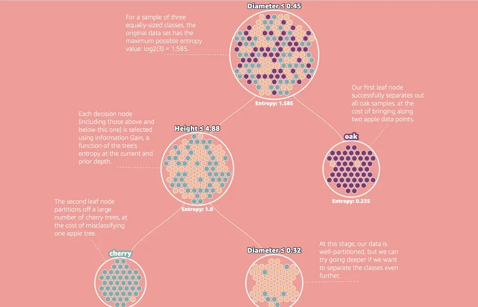 Decision Trees