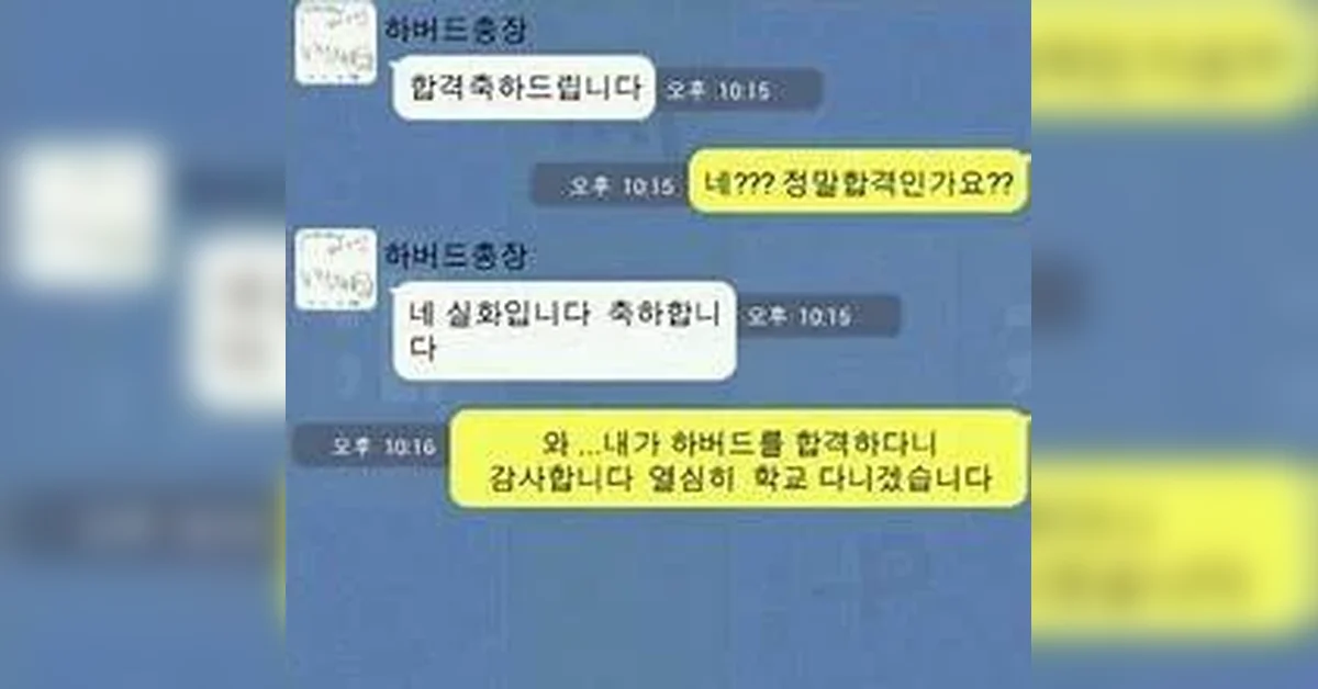 2025년 취준 결산